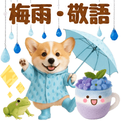 大人可愛い癒しコーギーの梅雨の敬語