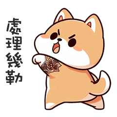 ^・ᴥ・^ 小胖柴犬處理幾勒
