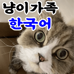 Cat Family-Korean