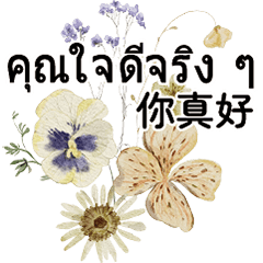 FlOwErSThai Thailland Taiwanese -2