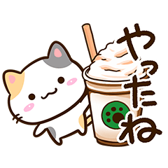 Small Cute Calico cat 81