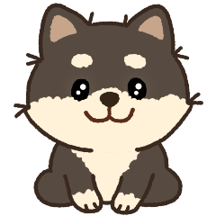 Chocolate Shiba Inu 'Malang'
