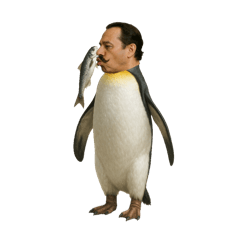 Oji penguin