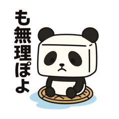 Meet Tofu Panda!