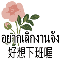 FlOwErSThai Thailland Taiwanese -6