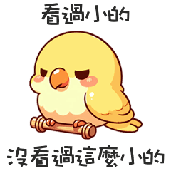 ( ‘Θ’)鸚鵡鳥鳥超雖小