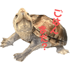 Charun_20250525215554