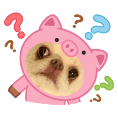 CHIKUWA_20250525221636