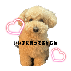 haruka_20250525230314