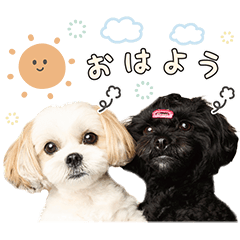 ルル&レアの日常