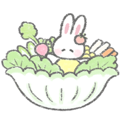 The fluffy bunny with vegetables