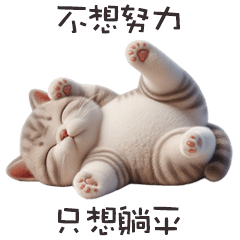 ヾ(*ΦωΦ)ツ小貓貓只想躺平