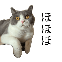 saku_20250526121802