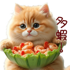 Cute & Fluffy Persian Cat _ Daily/Office