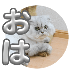 ソイくんのスタンプ　1