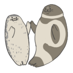 Ringed Seal And Ribbon Seal In English