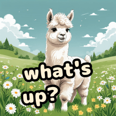 Sweet Fluffy Alpaca_English