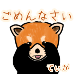 Teliga's lesser panda