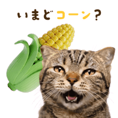 Animated! Cat Pun Stamps