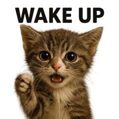 just motivation cat