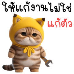 เหมียว กล้วยกล้วย แชททำงาน