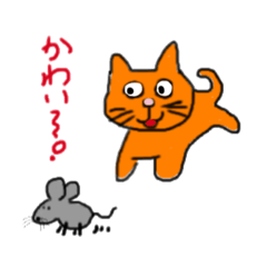 daily things the cat does