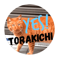 torakichi 10