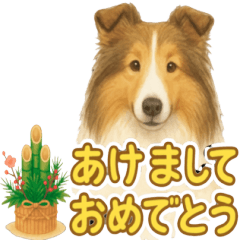コリーの使いやすい言葉スタンプ