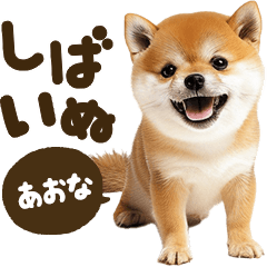 しばいぬmix【あおな】