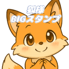 可愛狐狸大貼圖