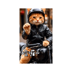 SmallStar_20250526145101