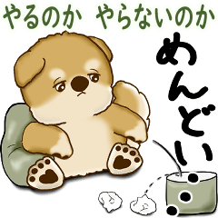 Shiba-inu 2025 (To do or not to do)