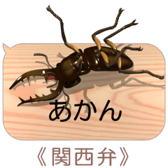 Miyama stag on the smartphone 4