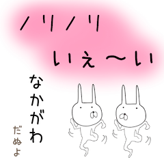 nakagawa- Rabbit