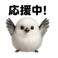 MINA_20250526232949 – LINE stickers | LINE STORE