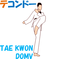 TAE KWON DO MV