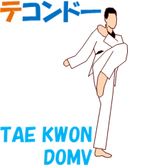 TAE KWON DO MV