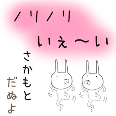 sakamoto- Rabbit