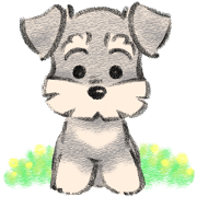 Tuna of Schnauzer 12