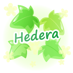 Hedera-CT