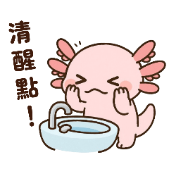 creator whale_20250526193915