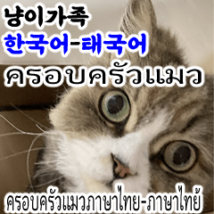 Cat Family-Kor-Thai