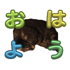 hiroki_20250526212456