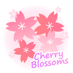 Cherry Blossoms-CT