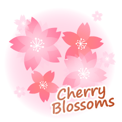 Cherry Blossoms2-CT