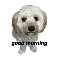 natsu_20250526223520