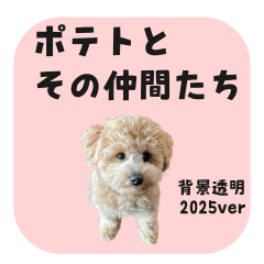 ポテトとその仲間たち　透明ver