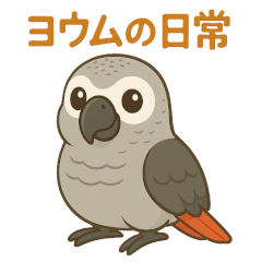Sticker Zoo[Gray parrot/daily life]
