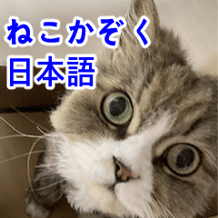 Cat Family Japanese