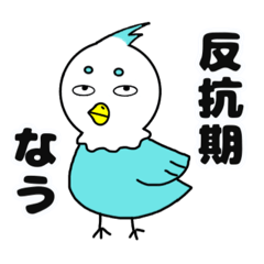 反抗期のインコ